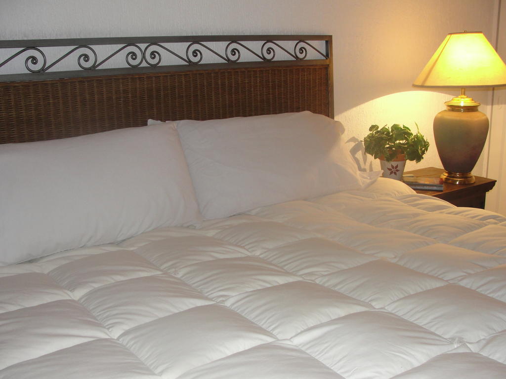 Steinhaus Suites Homero Мехико Экстерьер фото