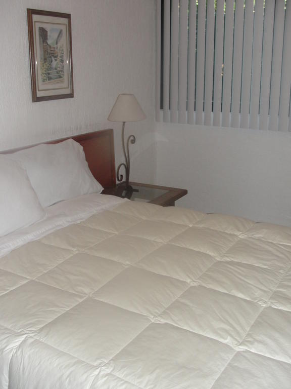 Steinhaus Suites Homero Мехико Экстерьер фото